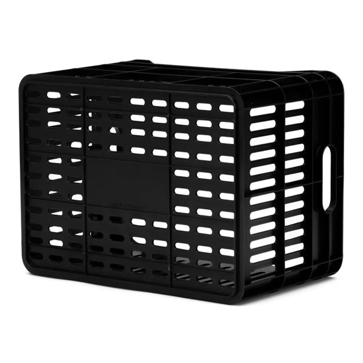 10095_5. Webp 10095 5