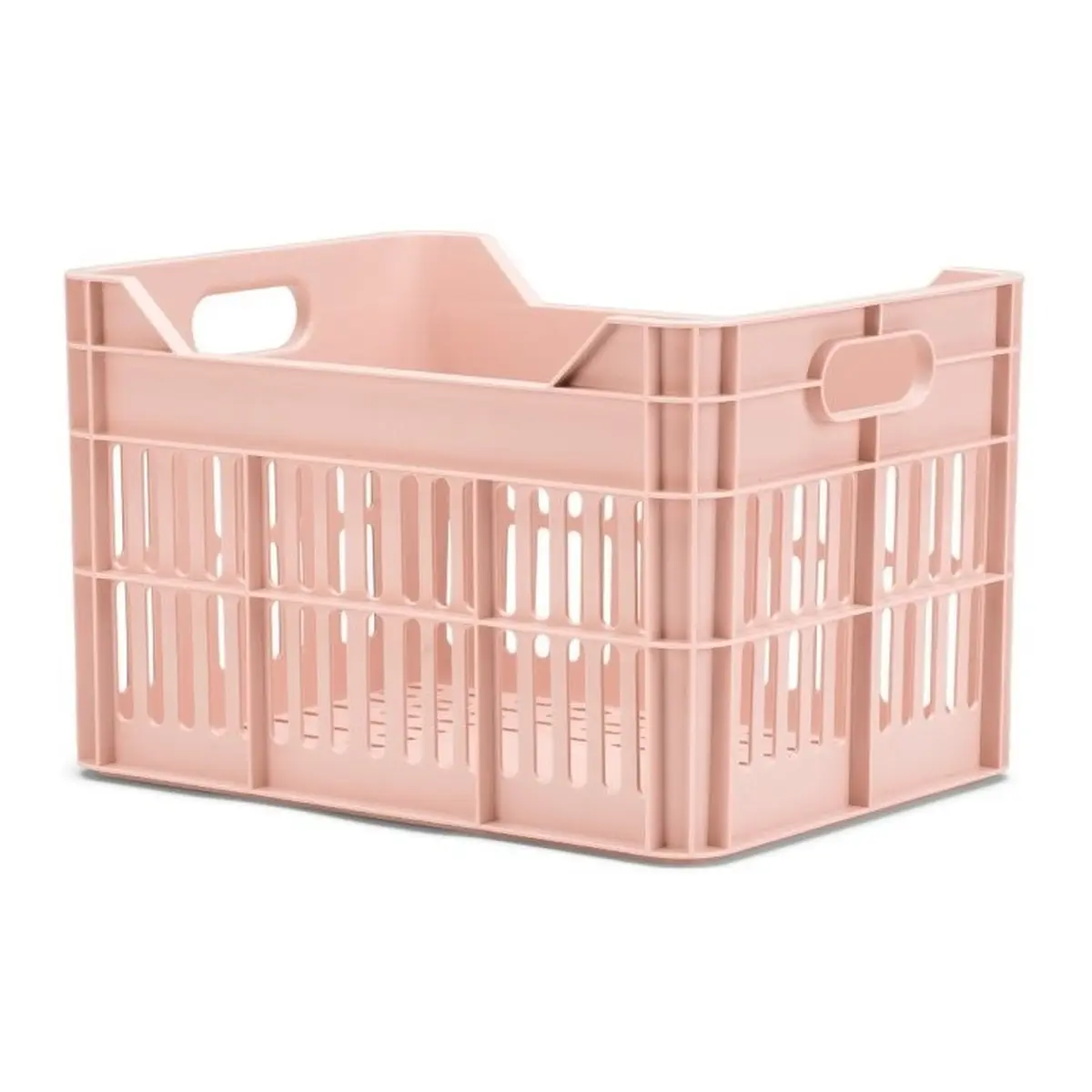 10096_1. Webp 10096 1