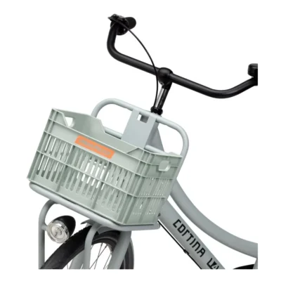 10097_6. Webp 10097 6