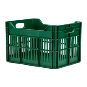 10100_1. Webp 10100 1