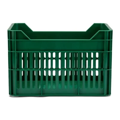 10100_3. Webp 10100 3