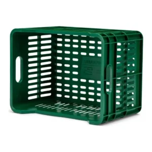 10100_4. Webp 10100 4