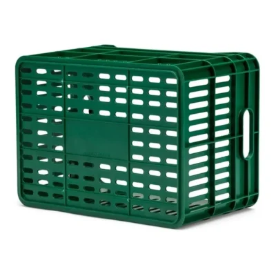 10100_5. Webp 10100 5