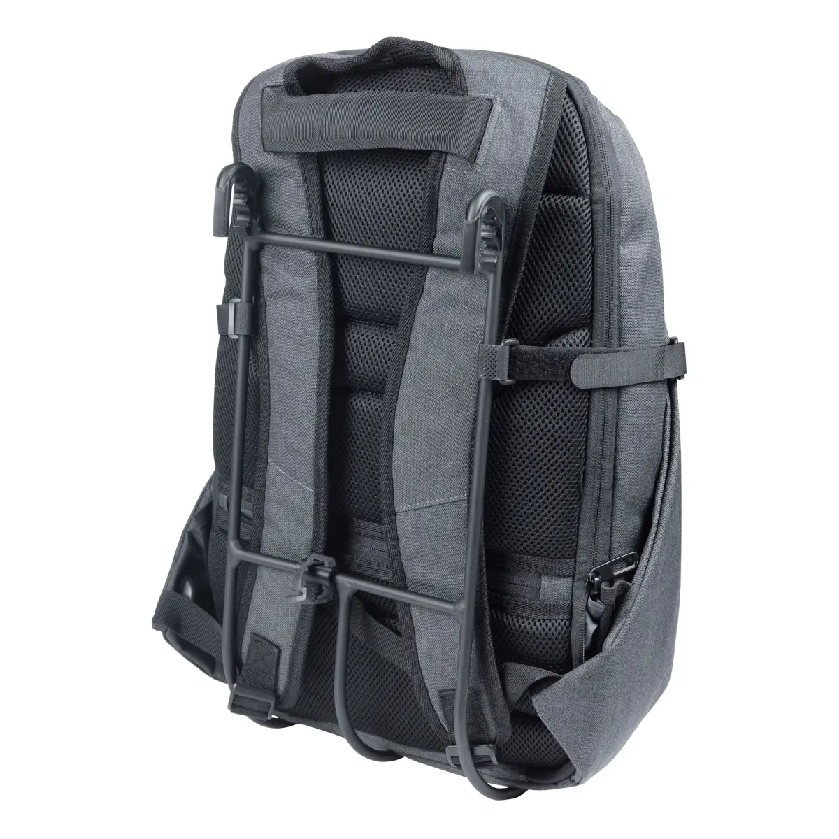 10136_2. Webp 10136 2