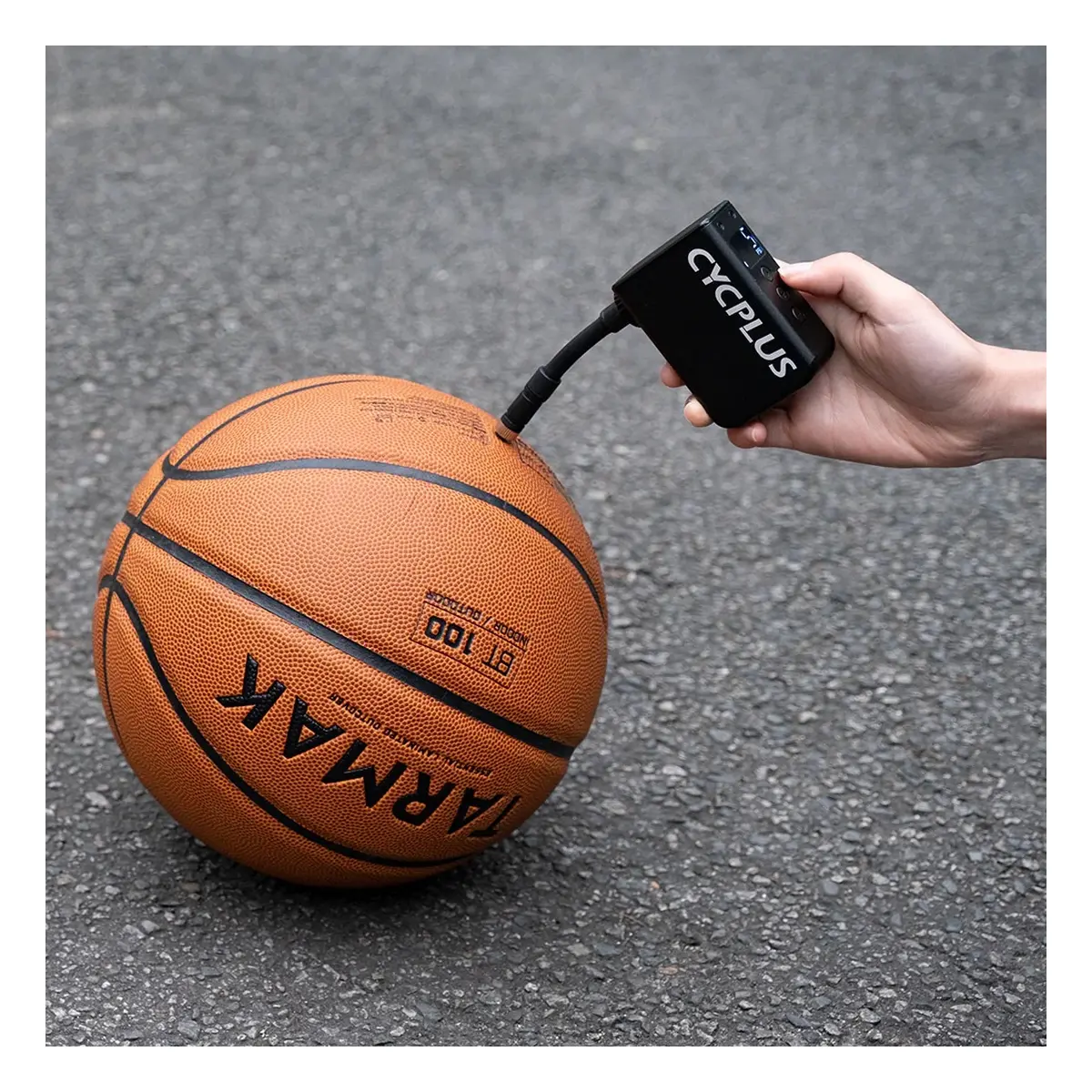 10155_6. Webp 10155 6