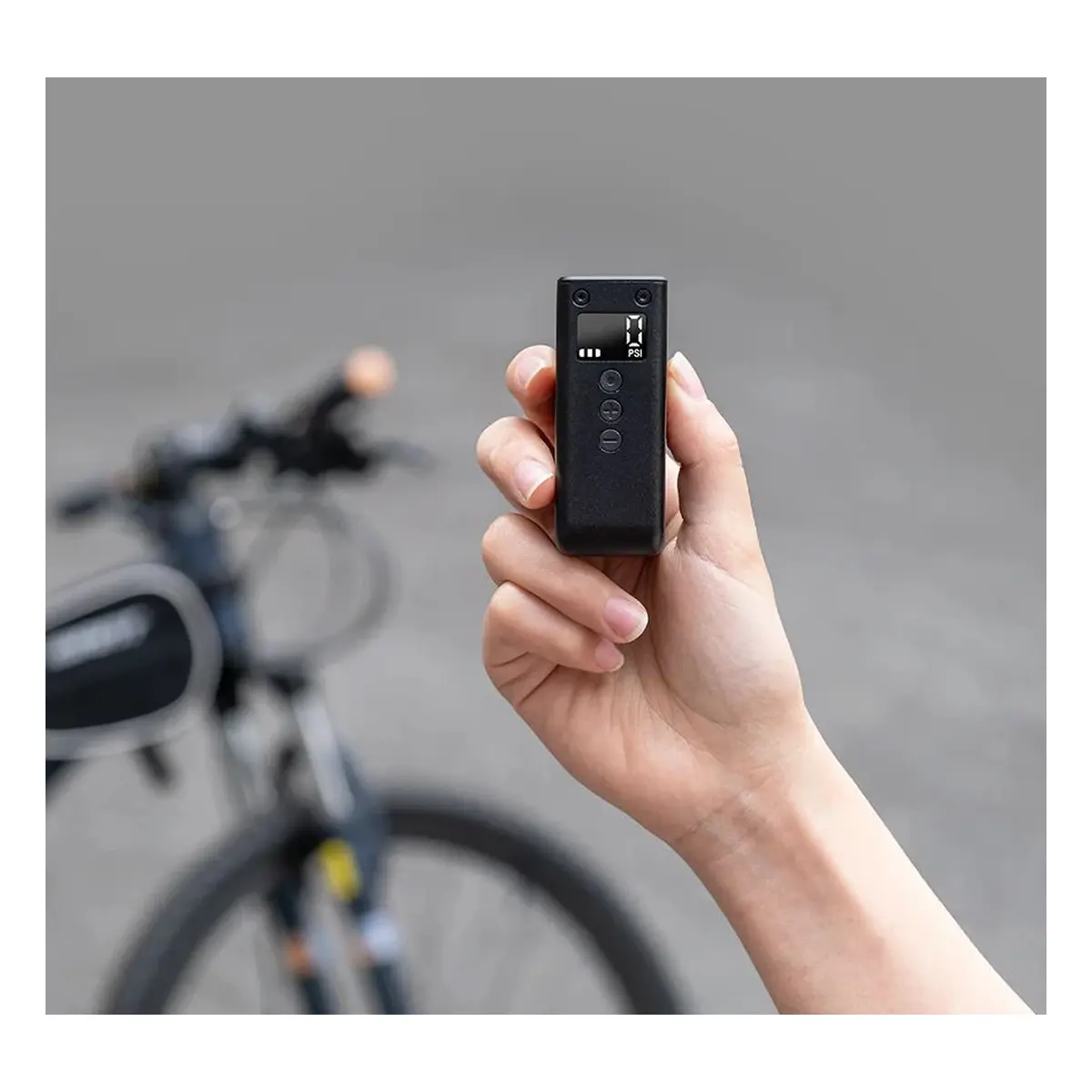 10156_3. Webp 10156 3