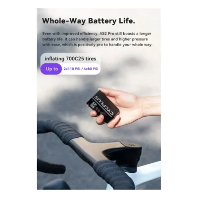 10156_8. Webp 10156 8