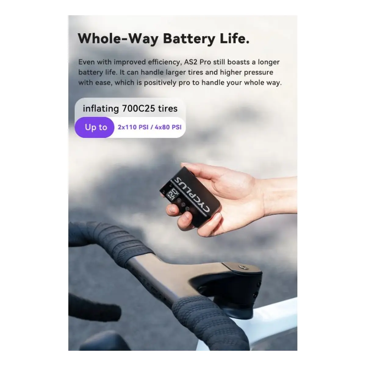 10156_8. Webp 10156 8