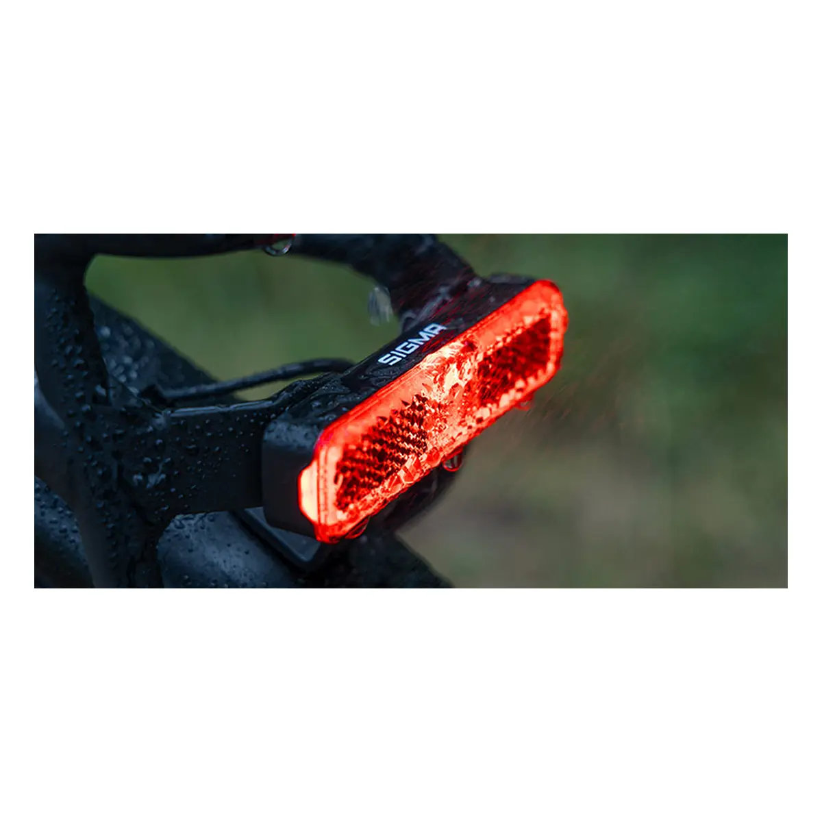 10226_2. Webp 10226 2