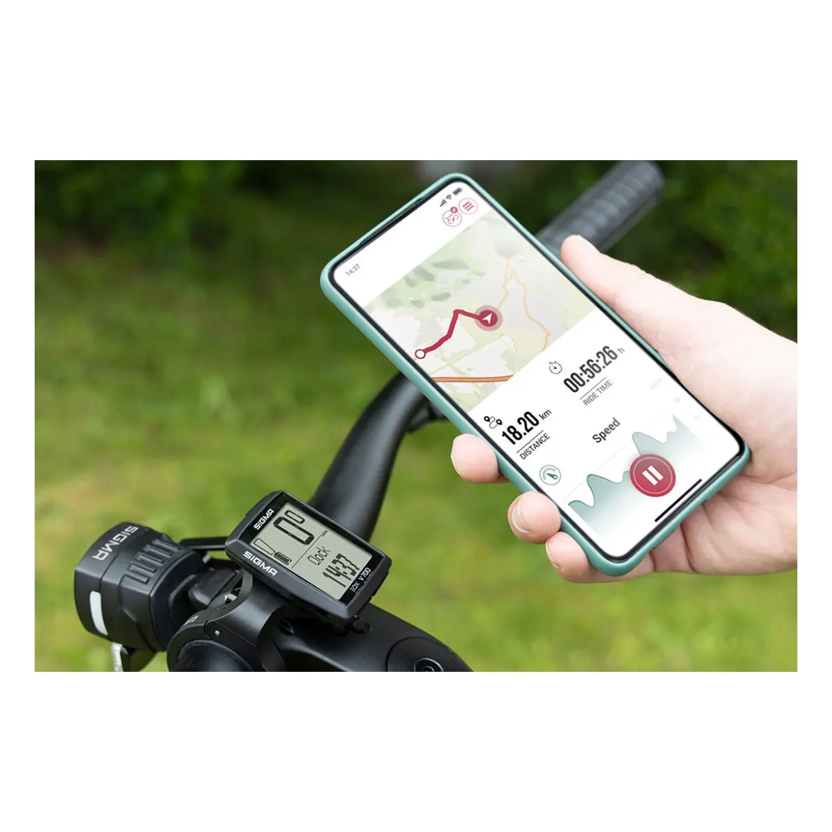 10232_3. Webp 10232 3