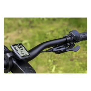 10232_6. Webp 10232 6