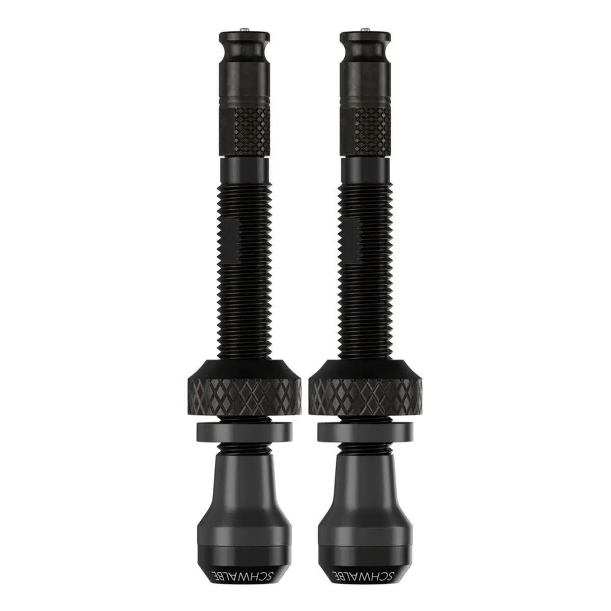 10263_1. Webp 10263 1