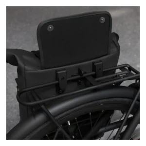 10297_1. Webp 10297 1