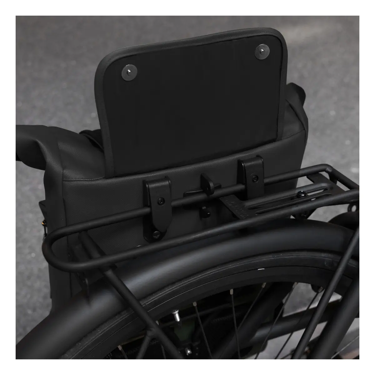 10299_1. Webp 10299 1