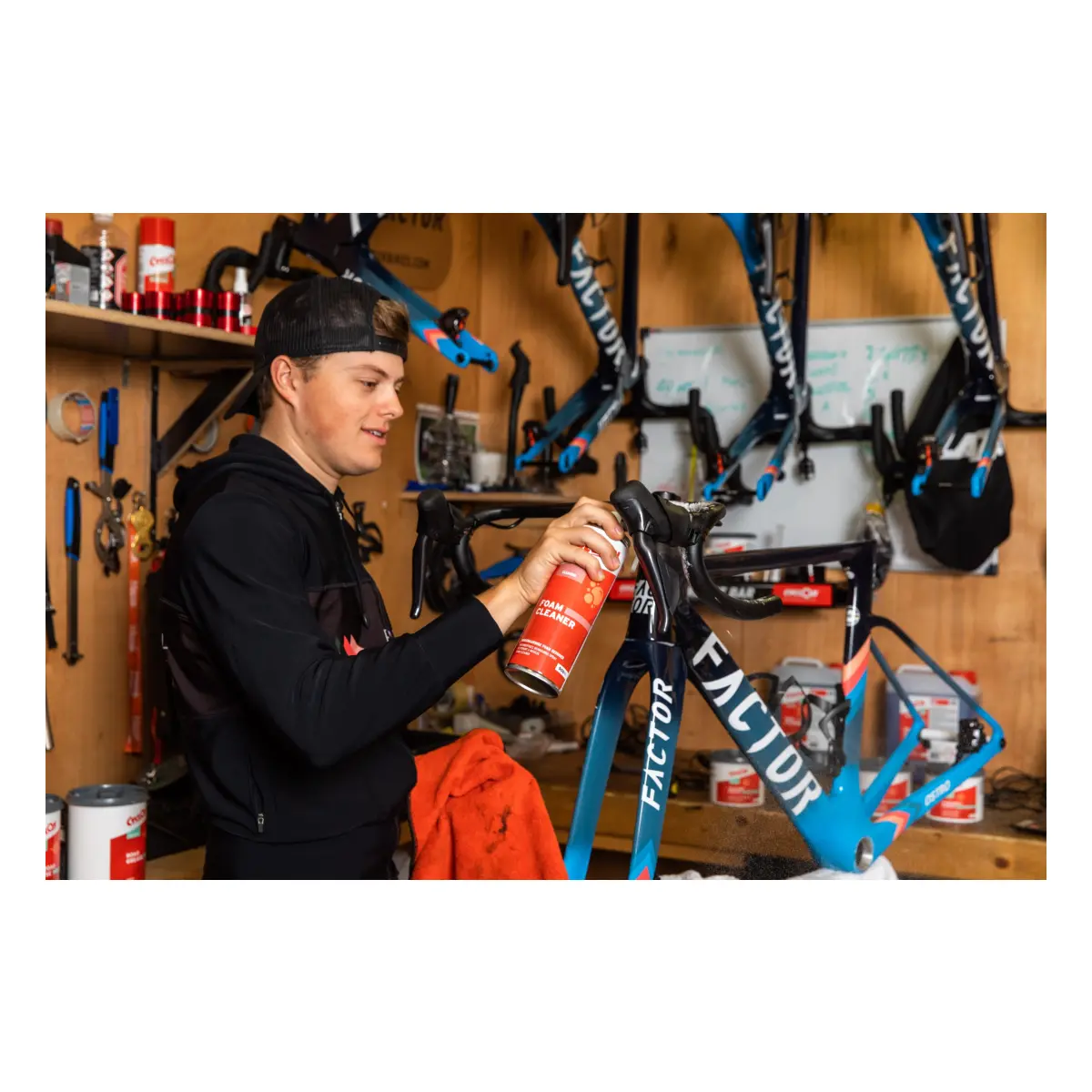 10350_1. Webp 10350 1