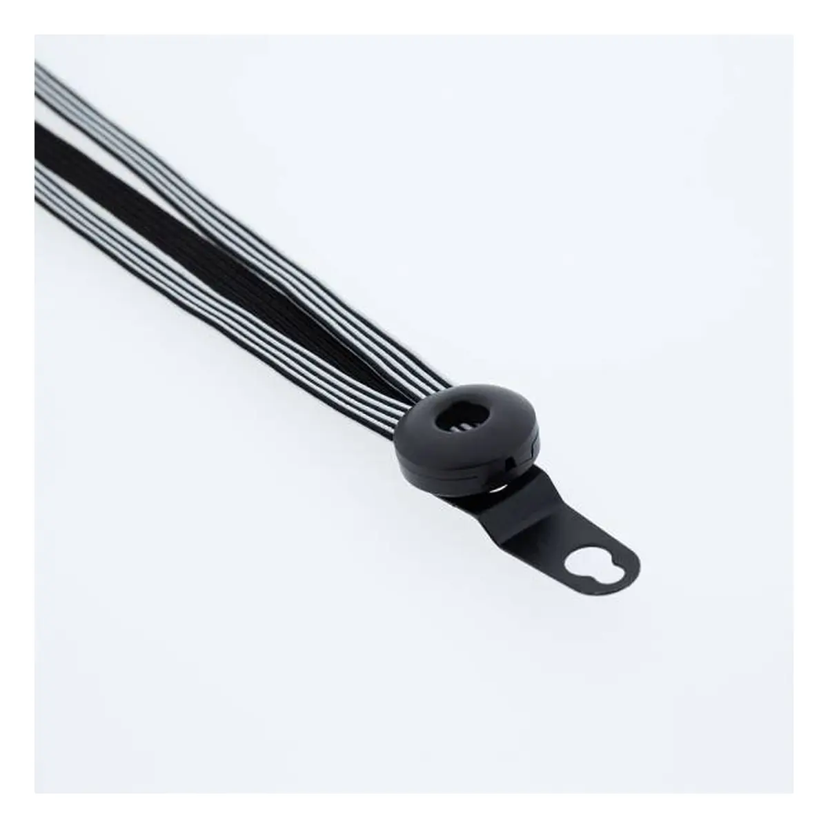 10388_1. Webp 10388 1