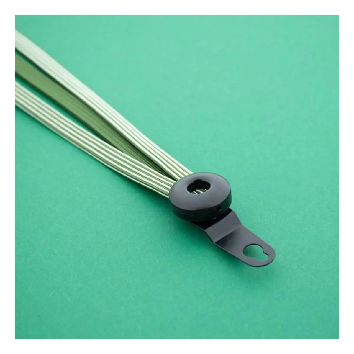 10389_1. Webp 10389 1