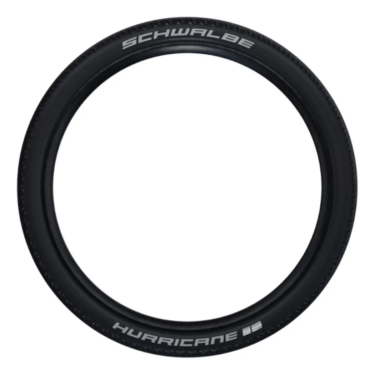 10428_2. Webp 10428 2