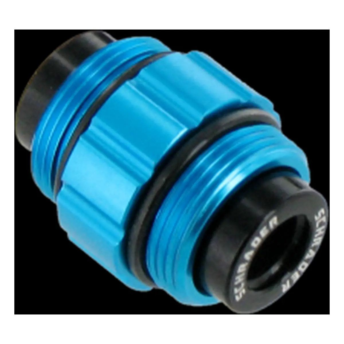 10446_3. Webp 10446 3