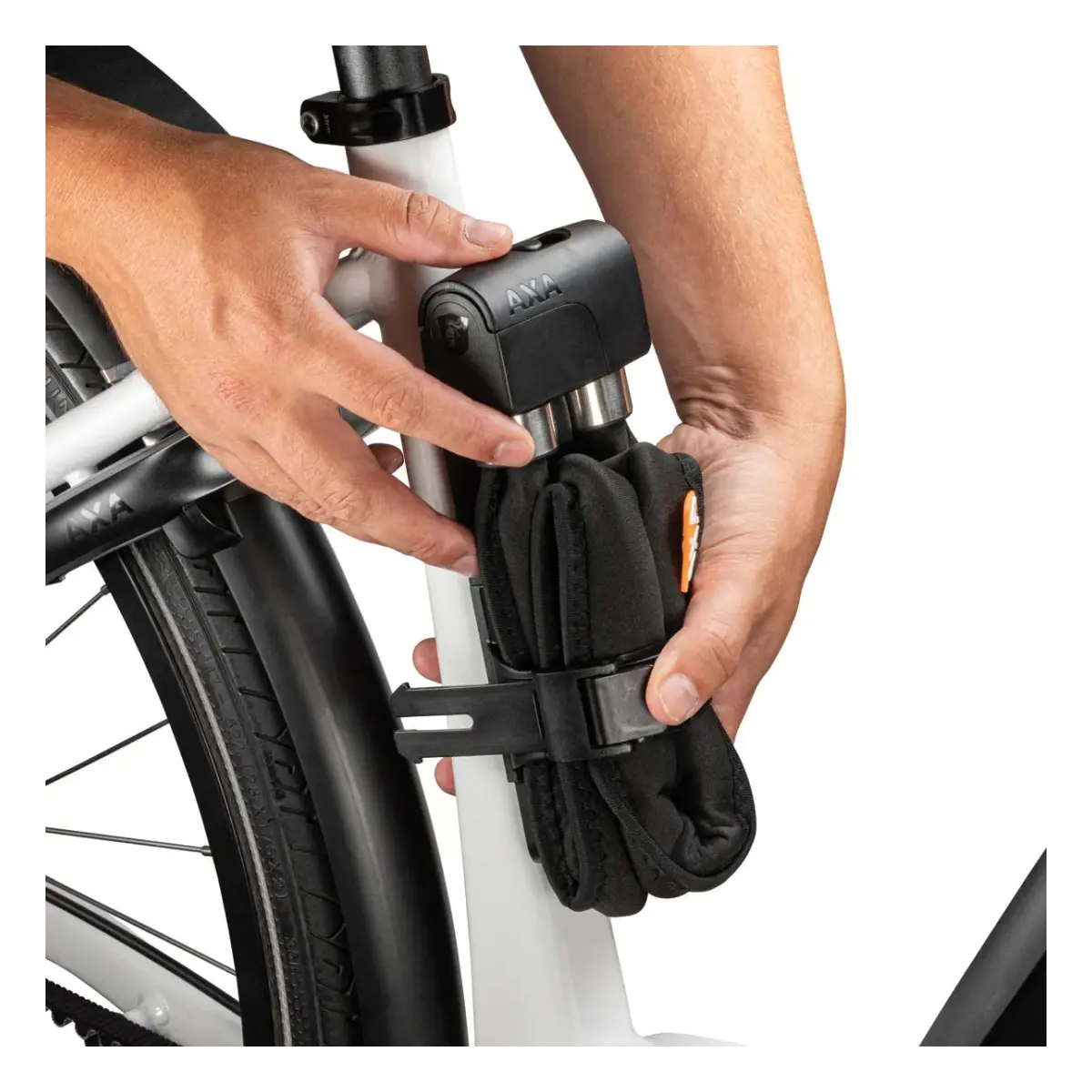 10458_6_1. Webp 10458 6 1