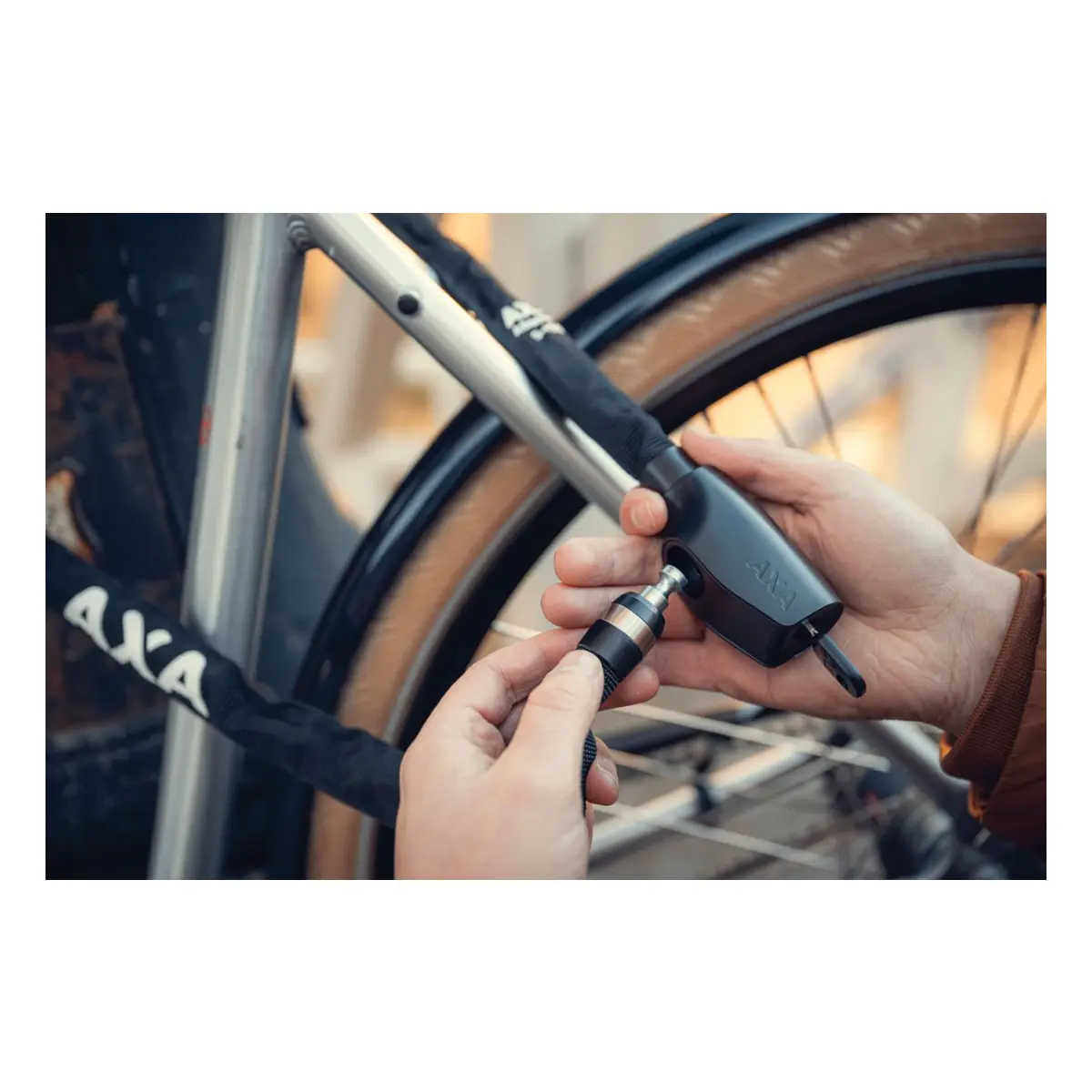 10465_6. Webp 10465 6