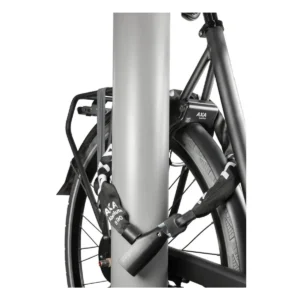 10469_2_1. Webp 10469 2 1