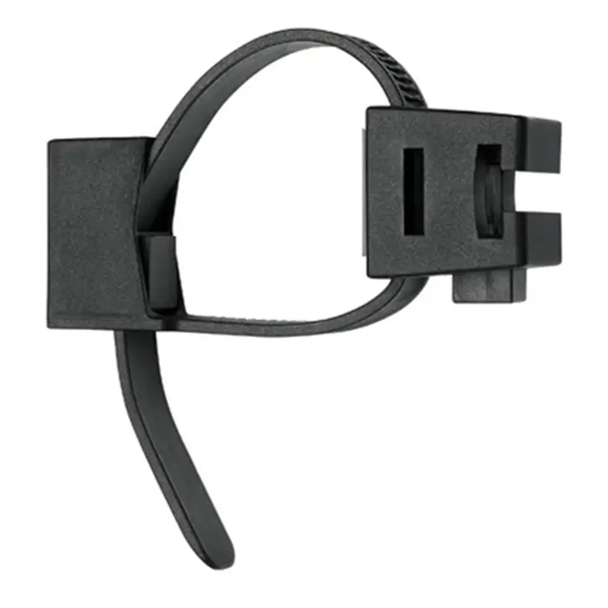 10501_2. Webp 10501 2