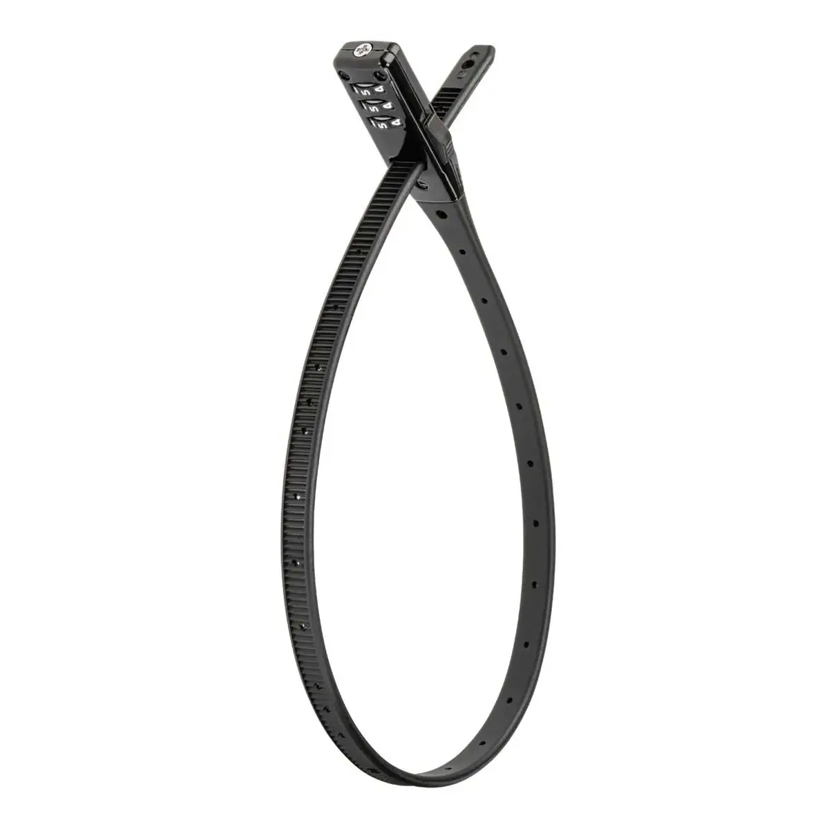 10509_2. Webp 10509 2