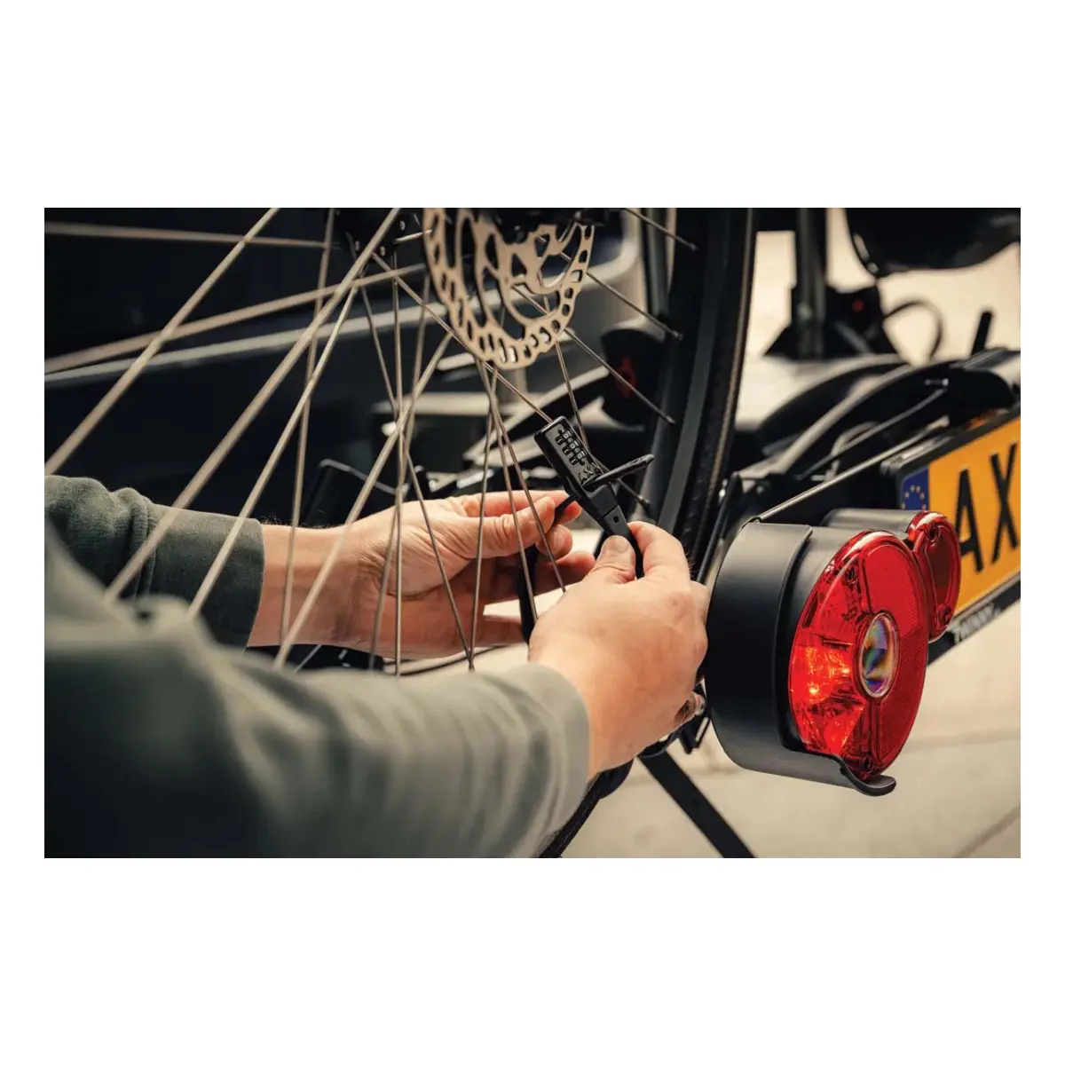 10509_5. Webp 10509 5