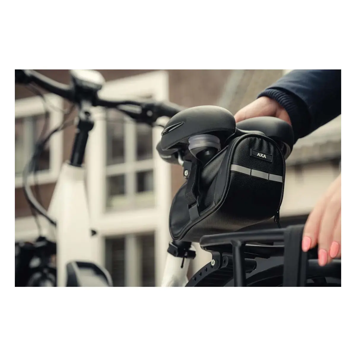 10536_5. Webp 10536 5