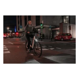 10542_9. Webp 10542 9