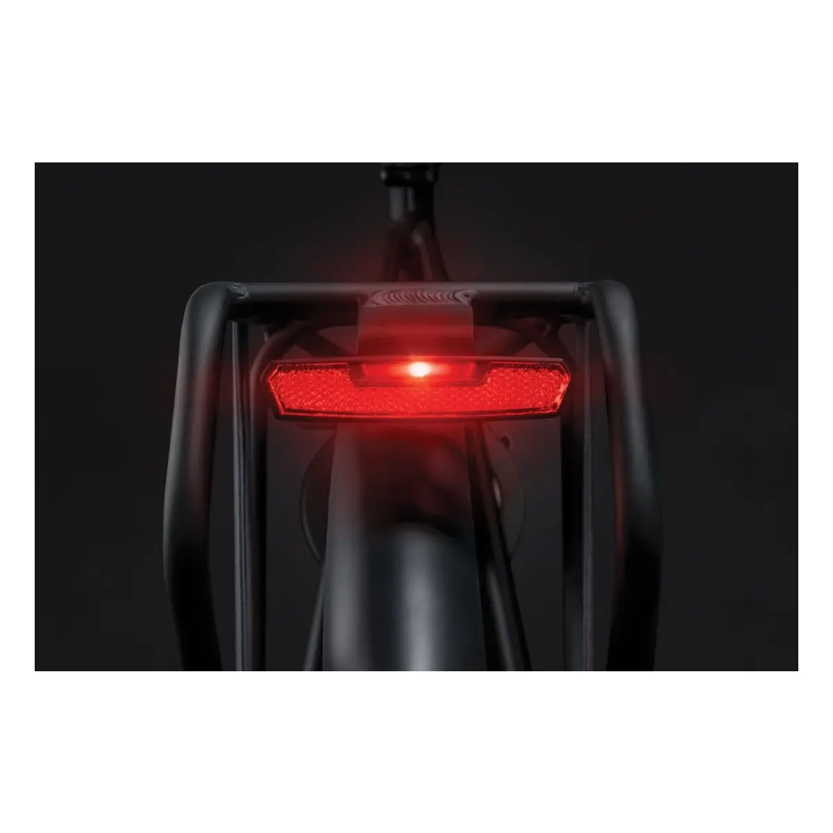 10569_2. Webp 10569 2