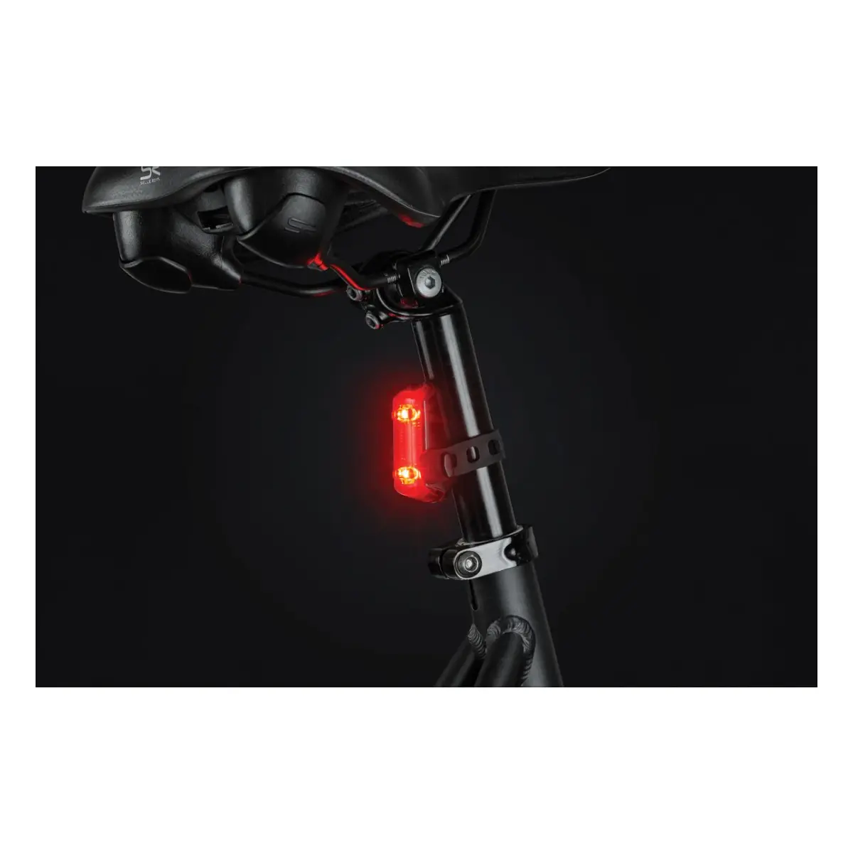 10592_10. Webp 10592 10