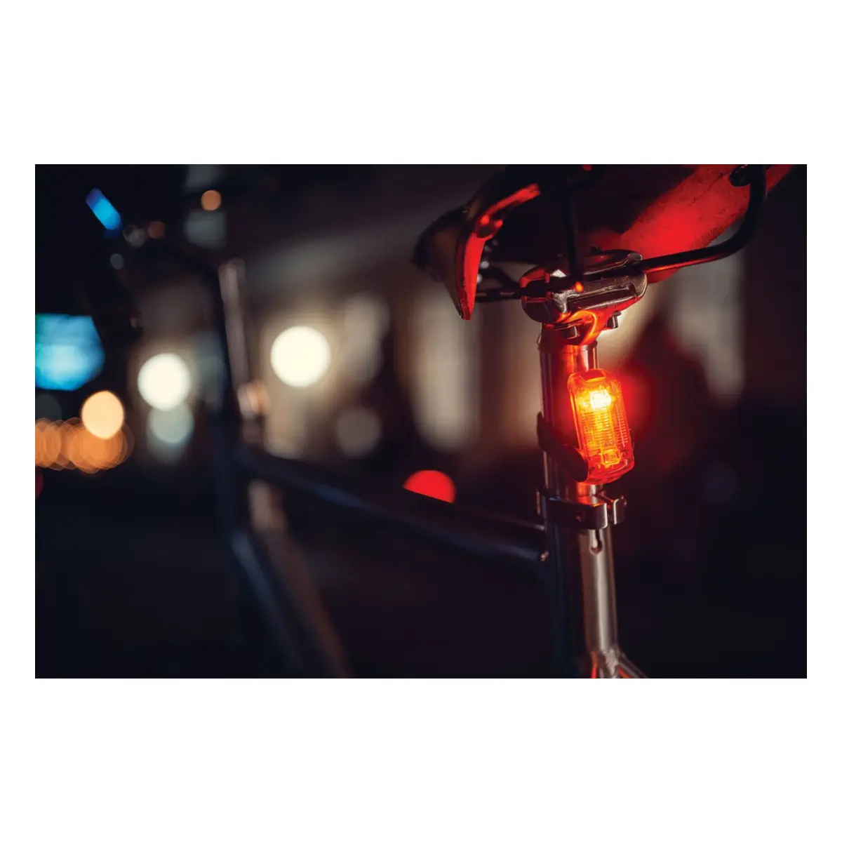 10592_7. Webp 10592 7