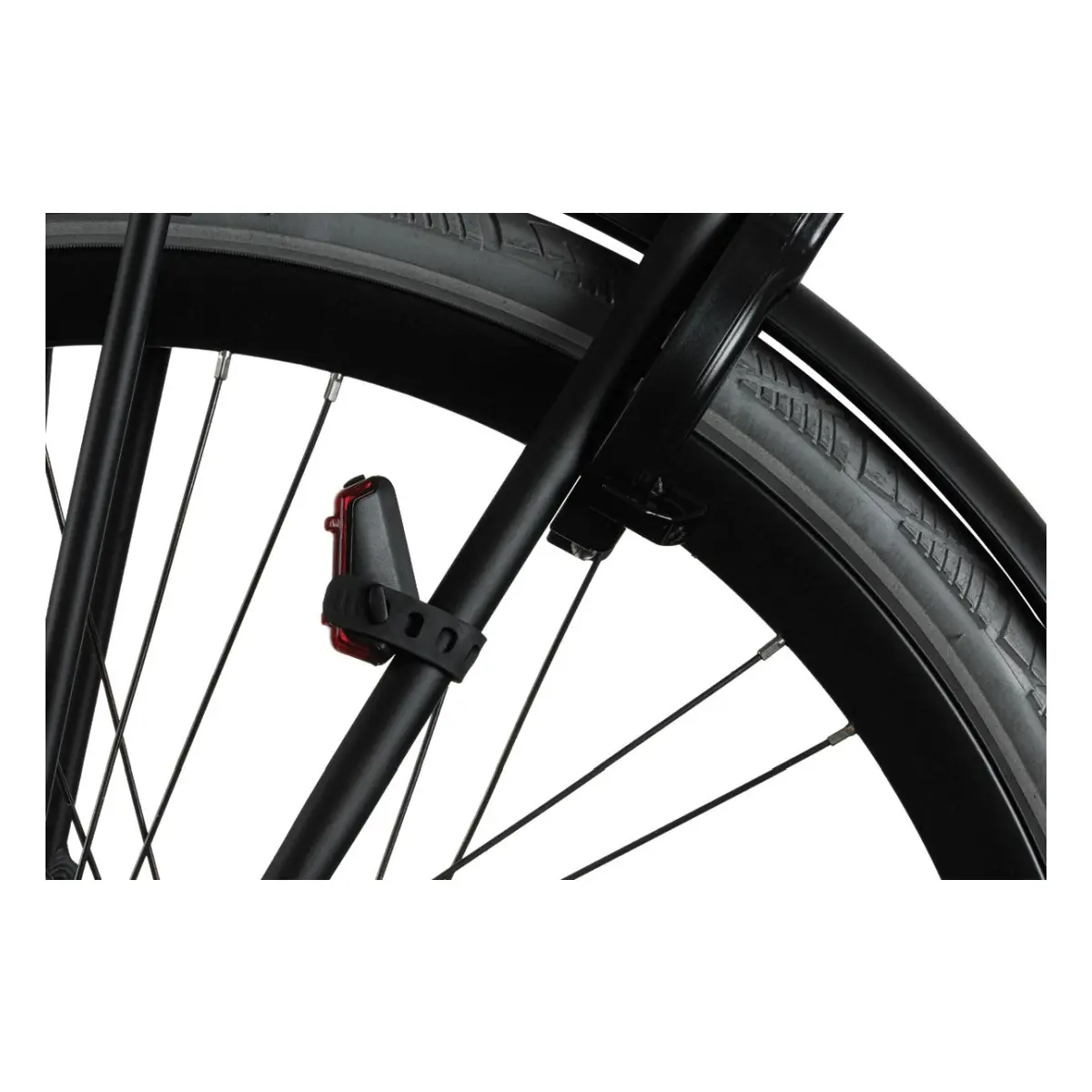 10592_8. Webp 10592 8