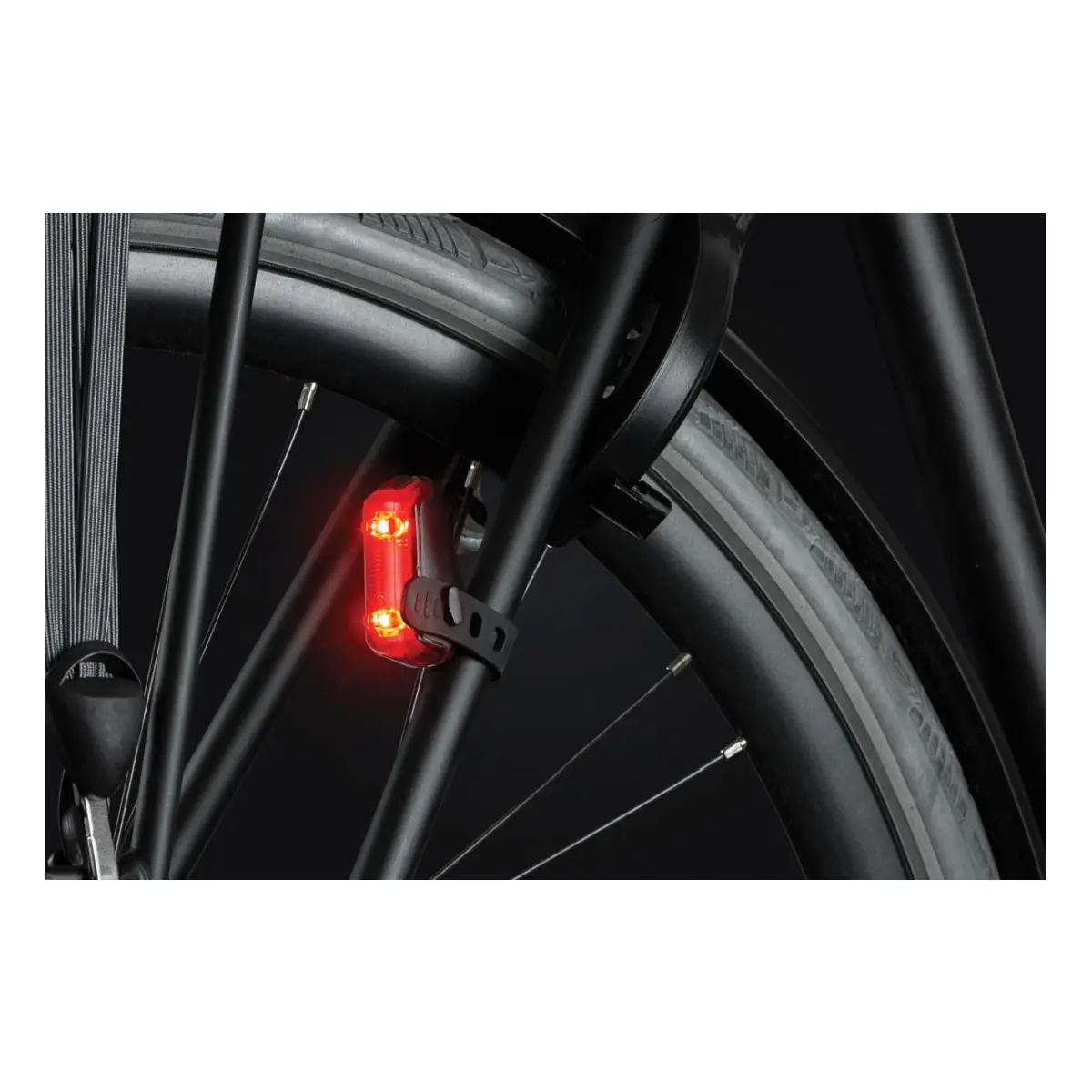 10592_9. Webp 10592 9