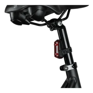 10594_1. Webp 10594 1