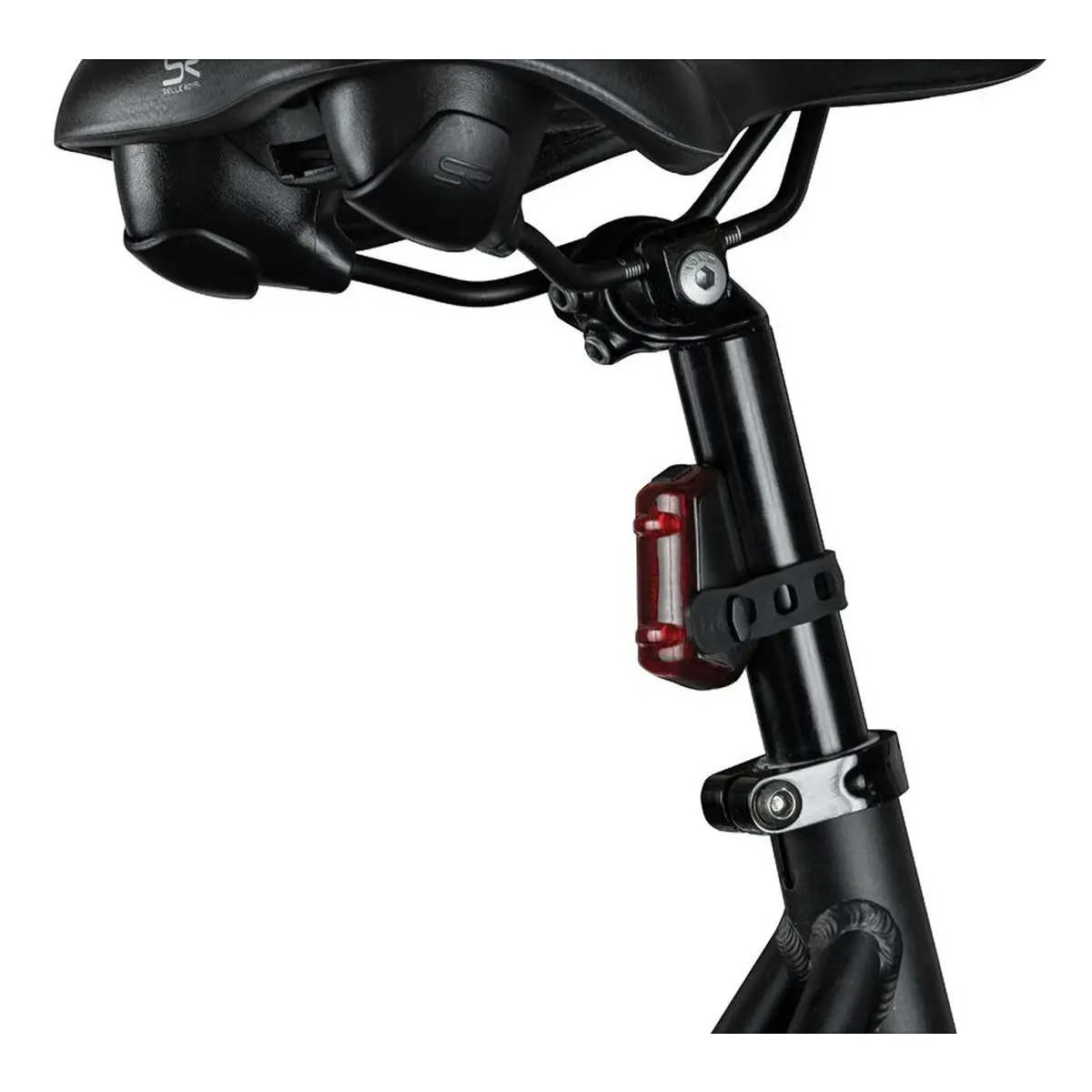 10594_1. Webp 10594 1