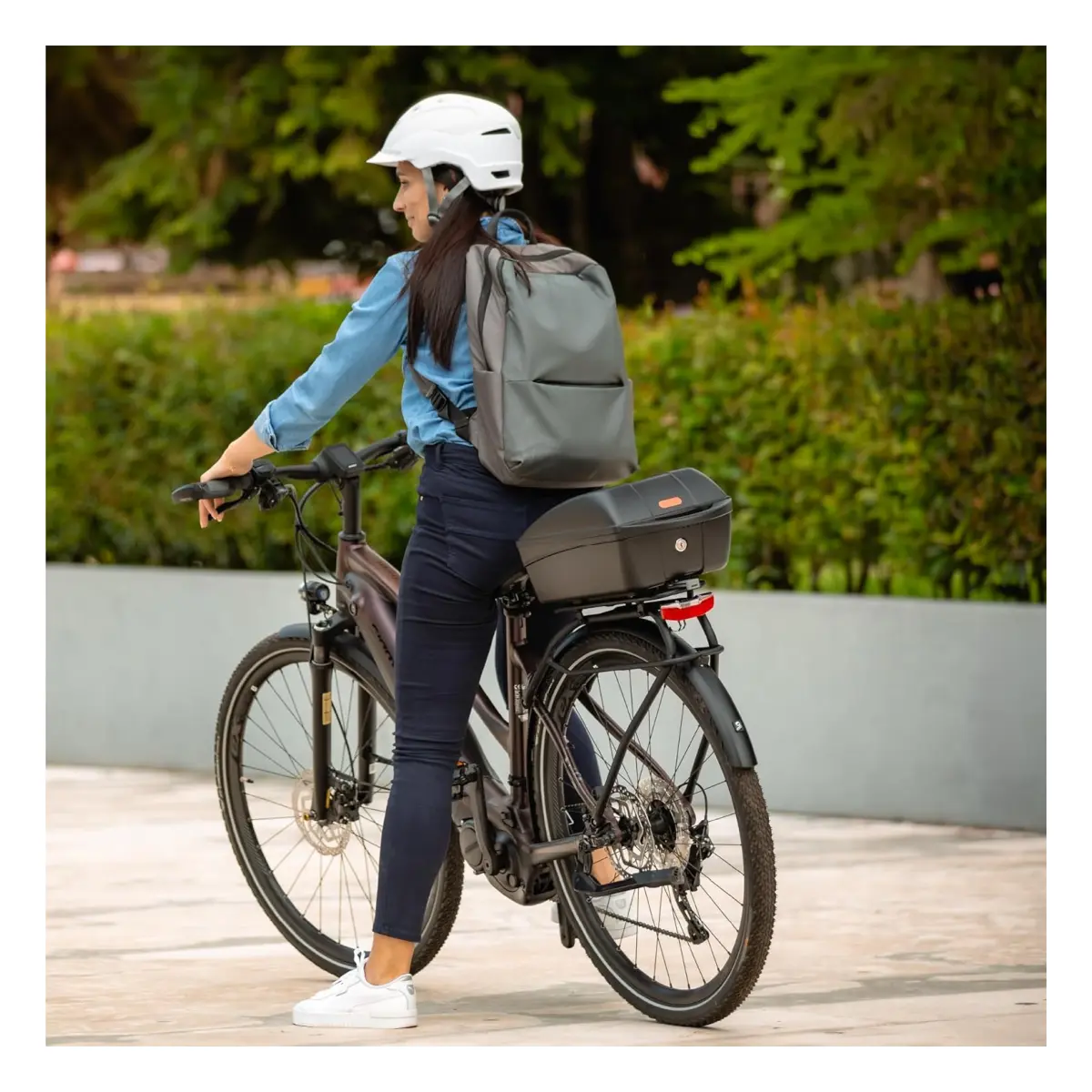 10657_7. Webp 10657 7