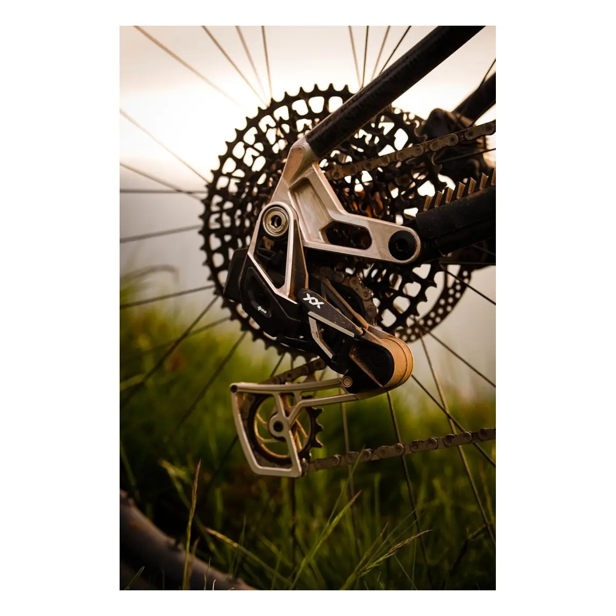 10658_2. Webp 10658 2