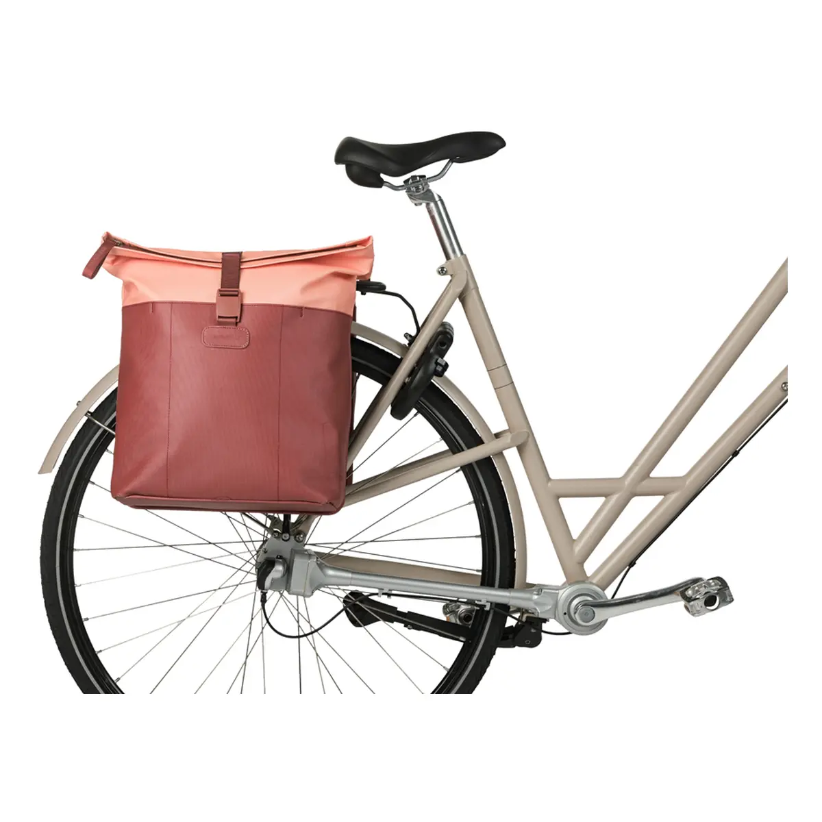 10704_5. Webp 10704 5