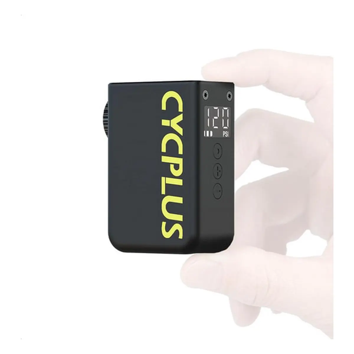 10735_6. Webp 10735 6