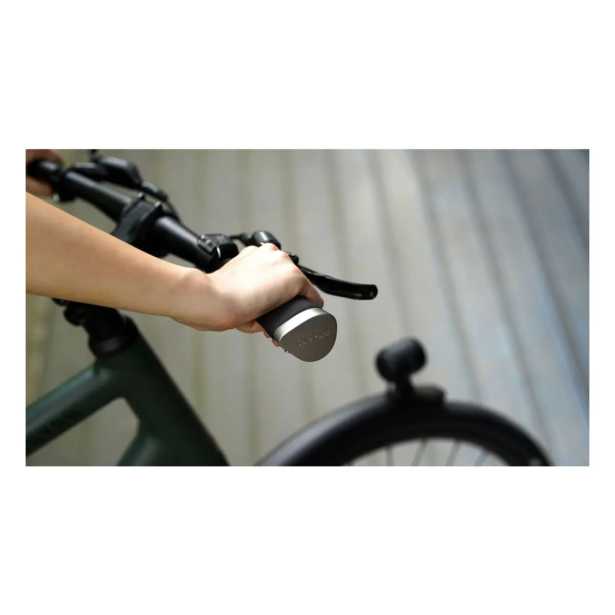 10774_1. Webp 10774 1