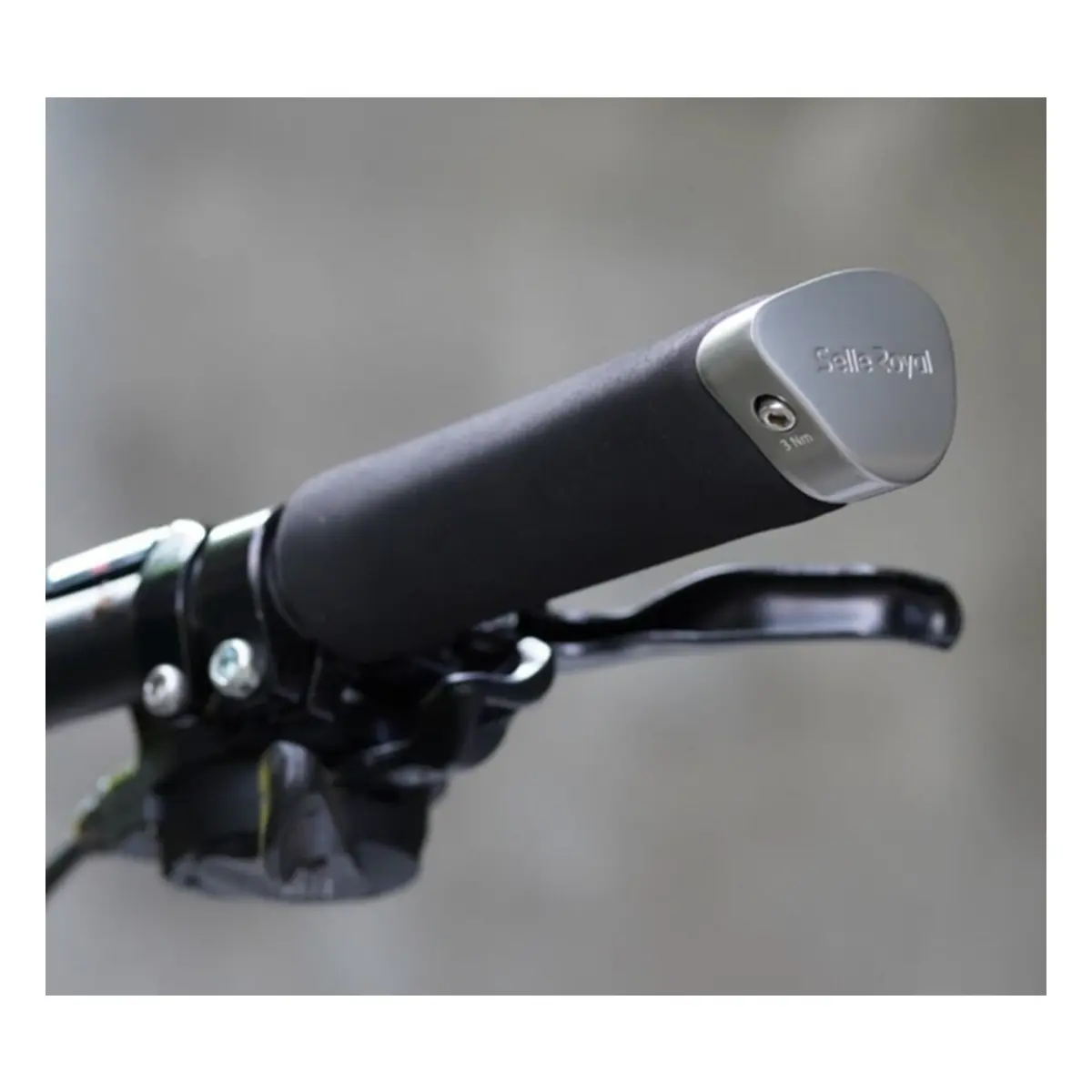 10774_2. Webp 10774 2