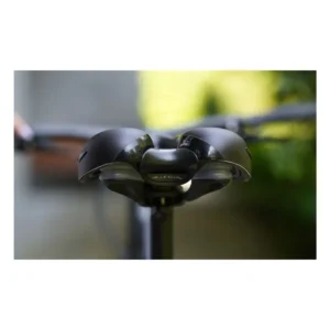 10777_11. Webp 10777 11