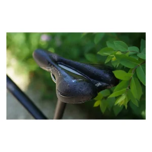 10777_7. Webp 10777 7