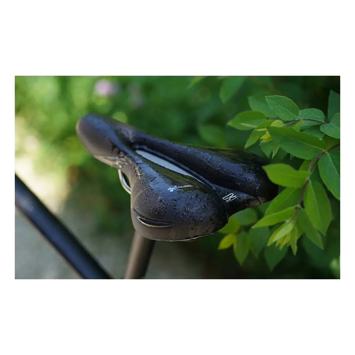 10777_7. Webp 10777 7