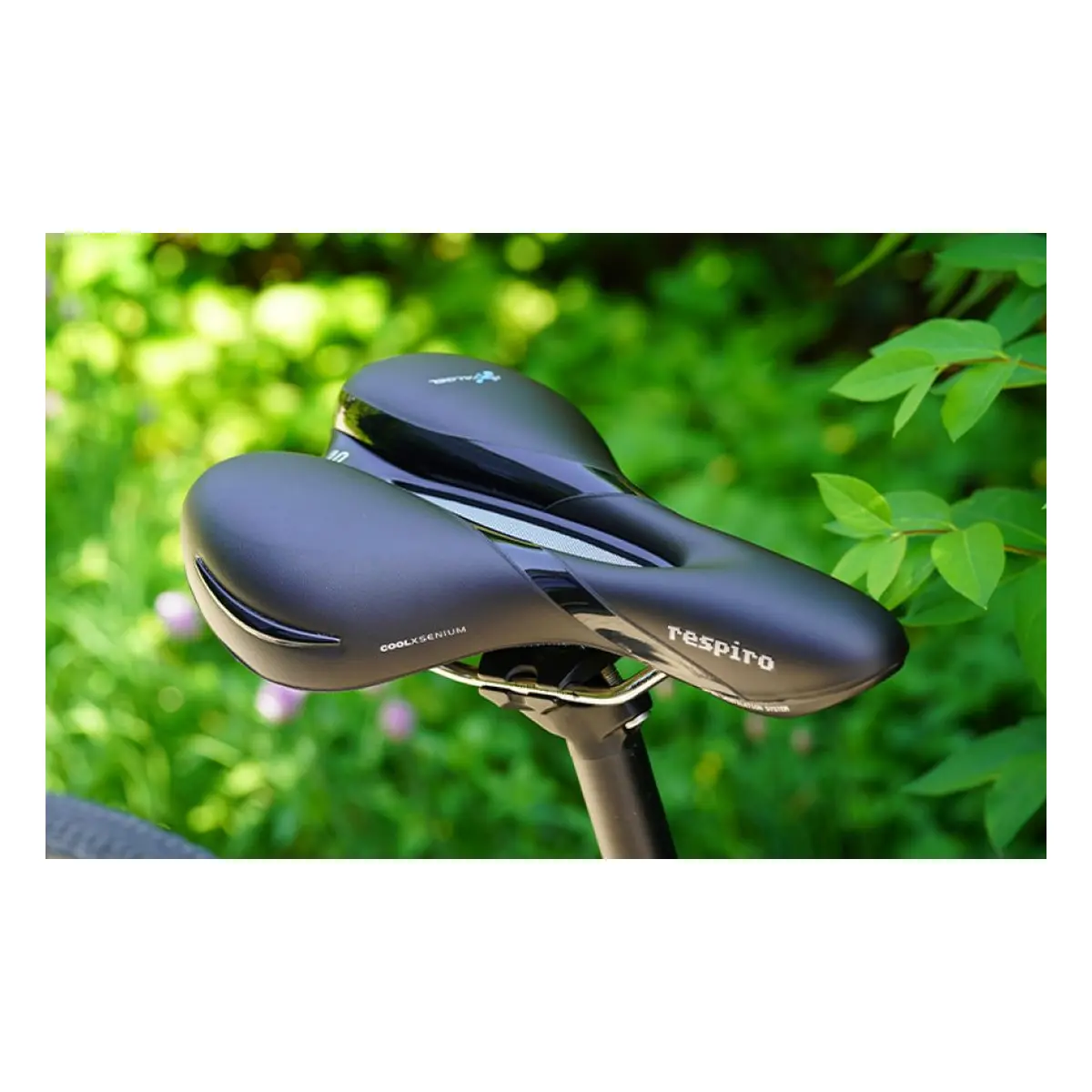 10777_9. Webp 10777 9