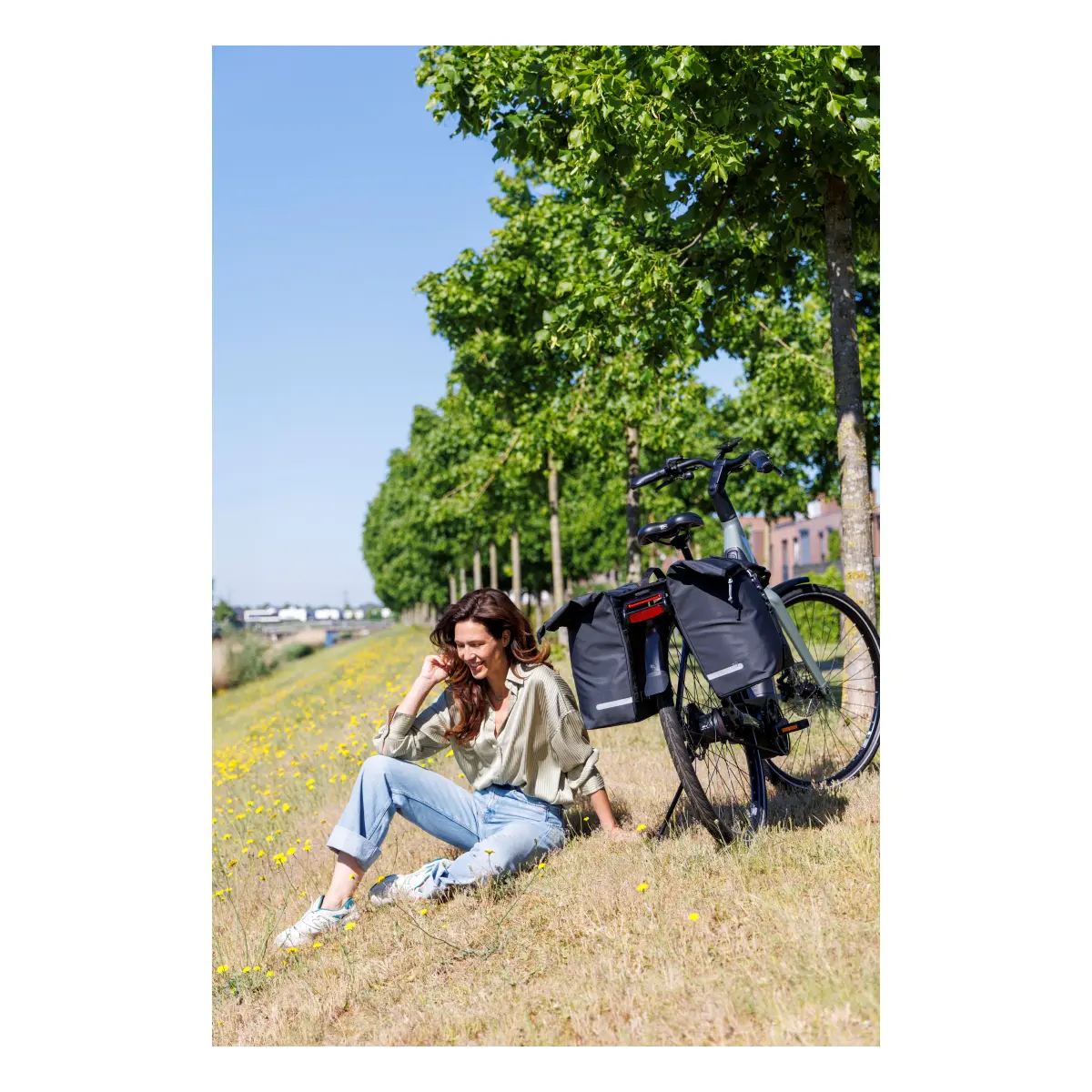 10803_12. Webp 10803 12