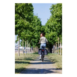 10804_7. Webp 10804 7